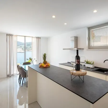 Villa Maslina Vela Luka