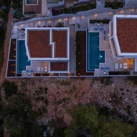 Maslina Villa Vela Luka